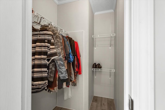 spacious closet featuring wood finished floors