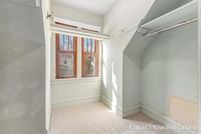 spacious closet with carpet floors