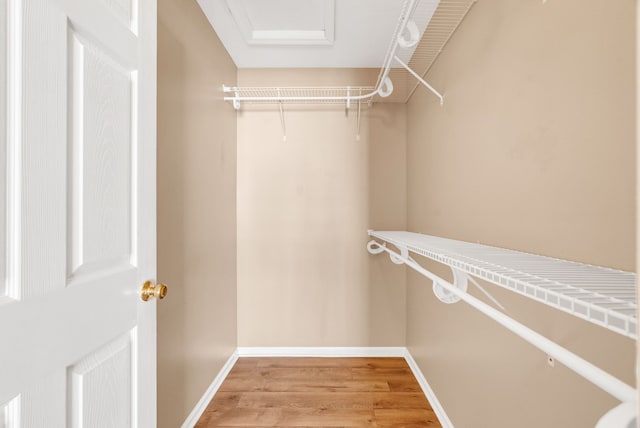 spacious closet with light wood-type flooring