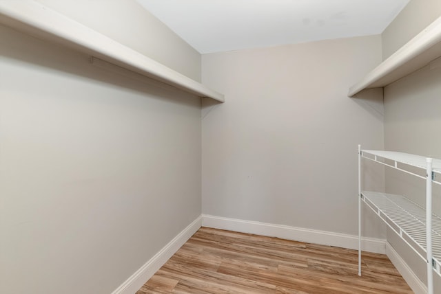 spacious closet with light wood-type flooring