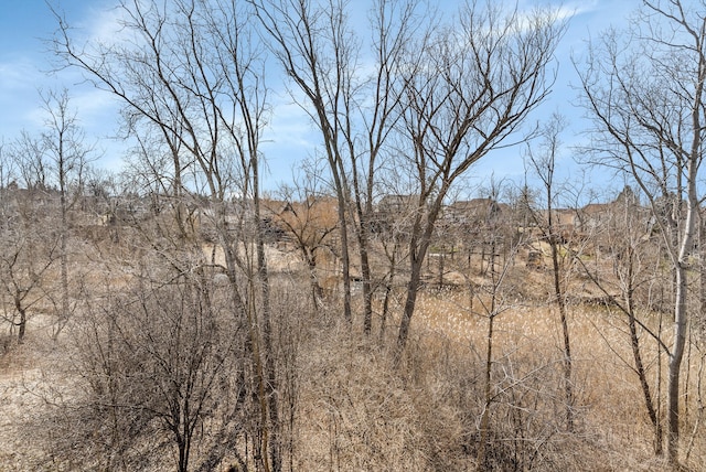 view of landscape