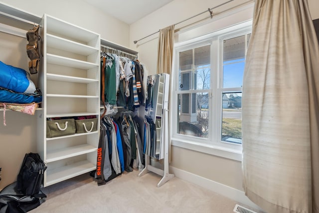 walk in closet featuring carpet flooring