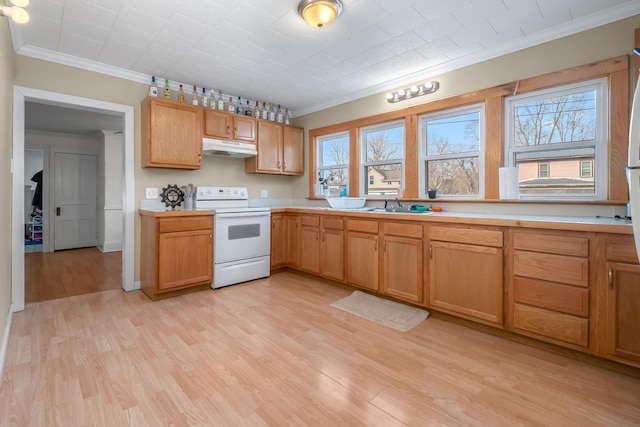 kitchen with electric stove, light wood-style floors, under cabinet range hood, and ornamental molding