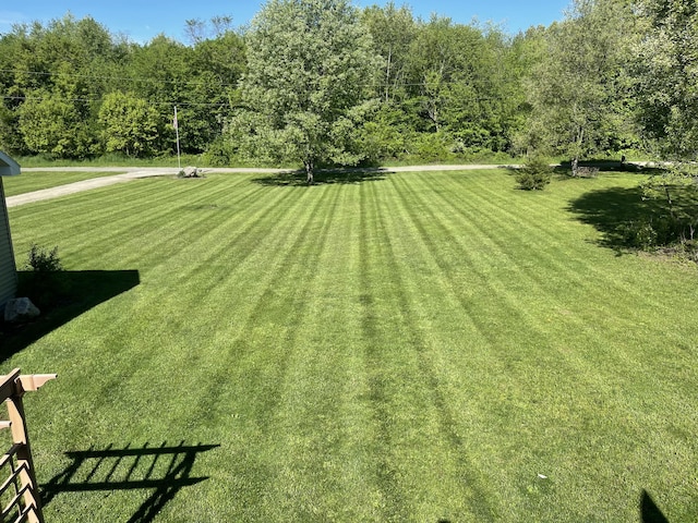 view of home's community featuring a lawn