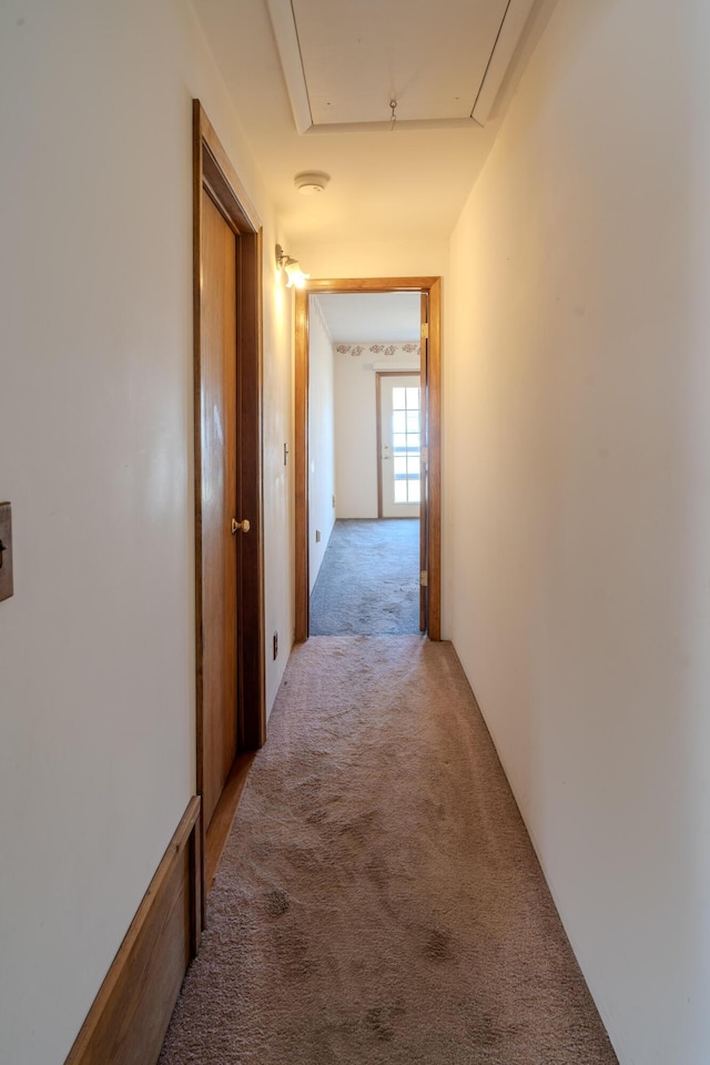 hallway featuring attic access and light colored carpet