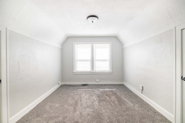 additional living space featuring baseboards, a textured ceiling, carpet, and vaulted ceiling