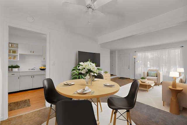 dining room with a ceiling fan and light wood finished floors