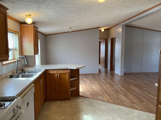 kitchen featuring ornamental molding, brown cabinets, and a sink