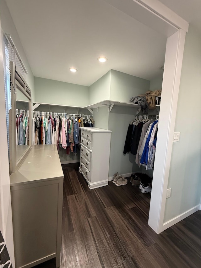 spacious closet featuring dark wood-style flooring