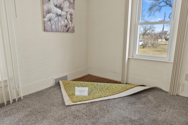 interior space featuring visible vents, carpet, and a textured wall