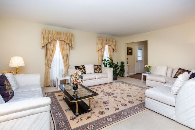 carpeted living area featuring a healthy amount of sunlight