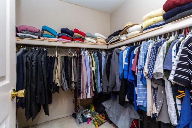 walk in closet with carpet flooring