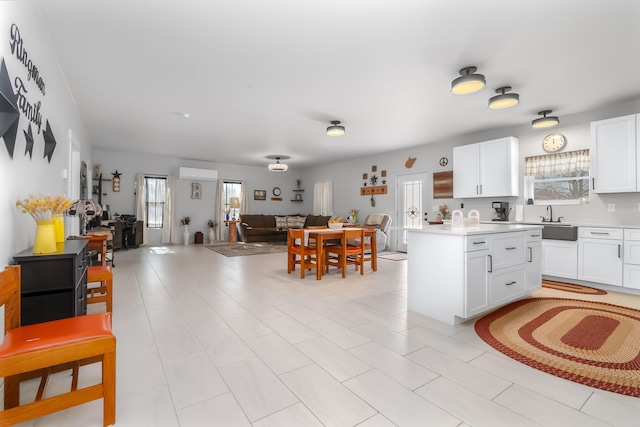 kitchen with open floor plan, a healthy amount of sunlight, and light countertops