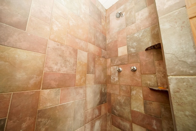 details featuring tiled shower