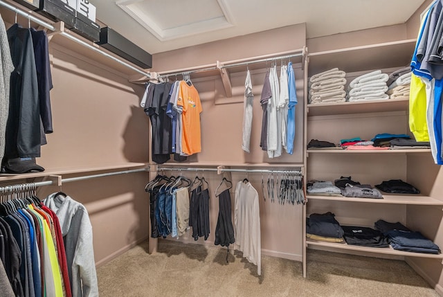 walk in closet featuring carpet floors and attic access