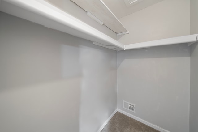 walk in closet featuring visible vents and carpet flooring