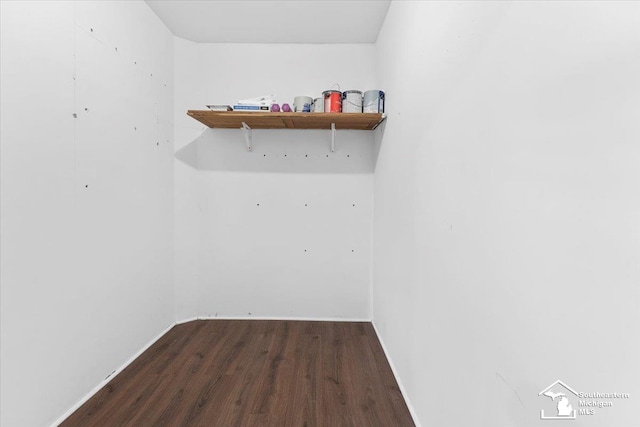 walk in closet featuring wood finished floors