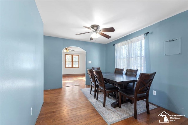 dining room featuring hardwood / wood-style floors, a ceiling fan, and arched walkways