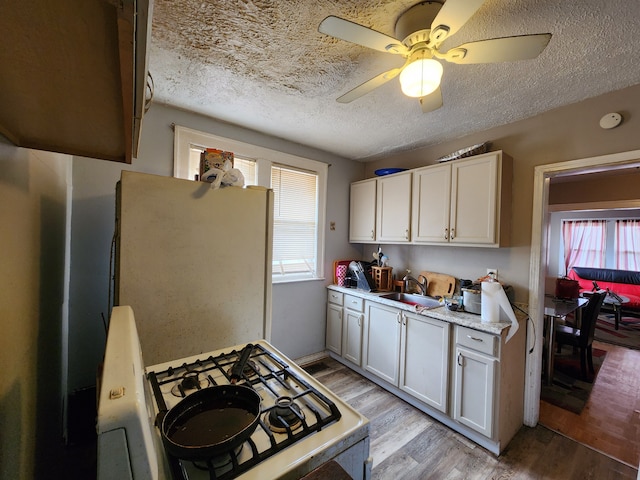 kitchen featuring white appliances, light wood-style flooring, a sink, light countertops, and a textured ceiling