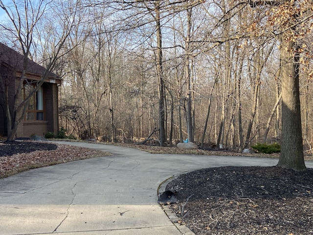 view of yard with driveway