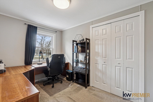 carpeted home office featuring ornamental molding