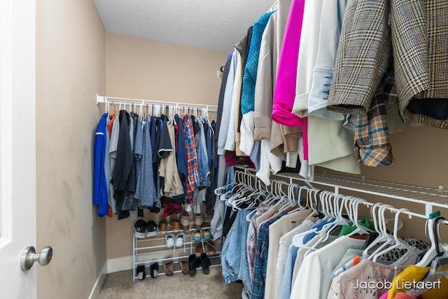 spacious closet featuring carpet