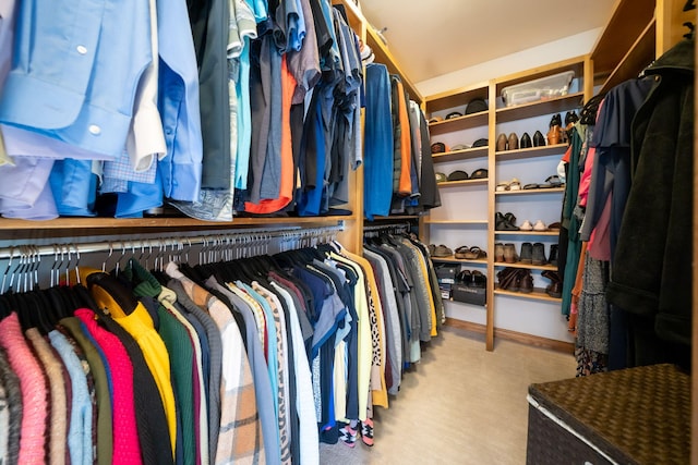 spacious closet with carpet