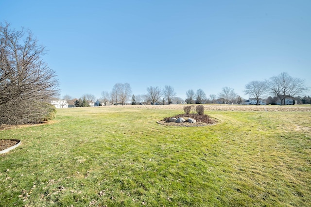 view of yard with a rural view