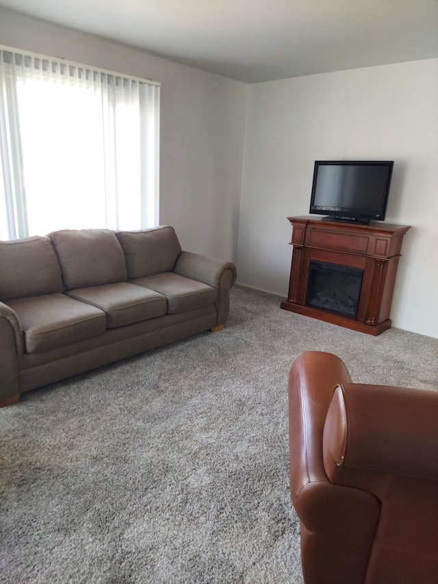 living area with carpet flooring and a fireplace