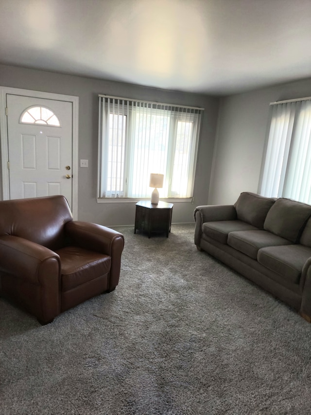 living area with carpet