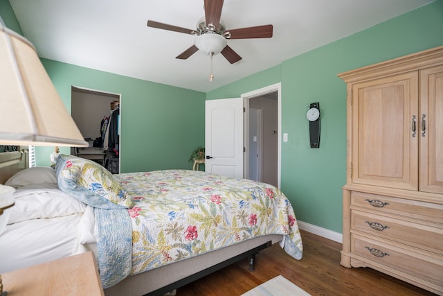 bedroom featuring a walk in closet, ceiling fan, baseboards, wood finished floors, and a closet