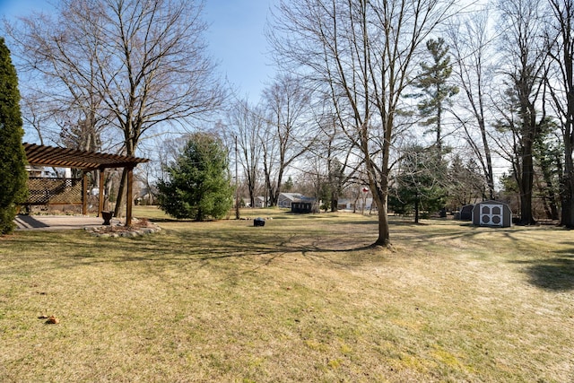 view of yard with a shed, a pergola, and an outdoor structure