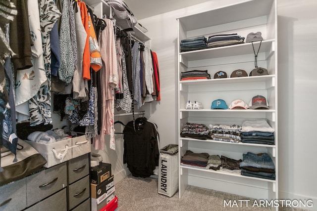 spacious closet featuring carpet