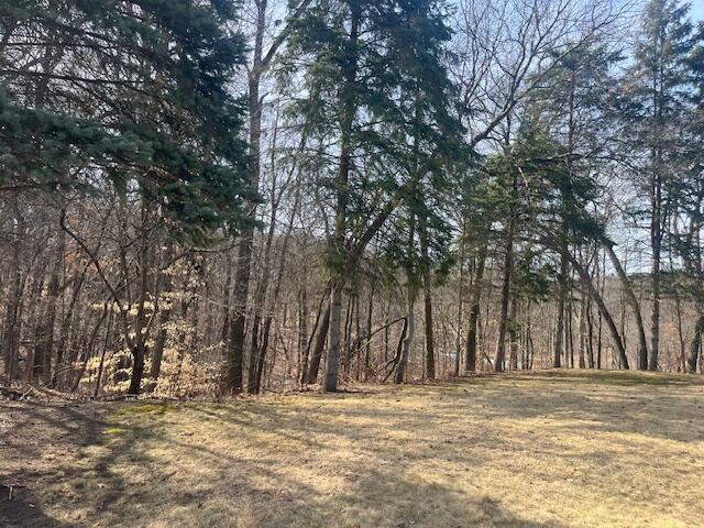 view of nature featuring a forest view