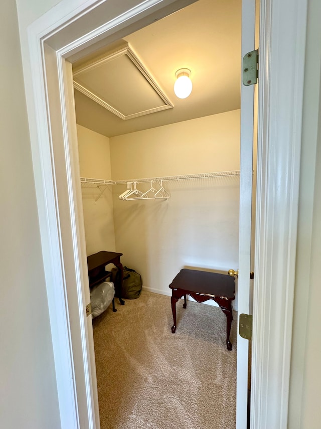 spacious closet featuring carpet flooring