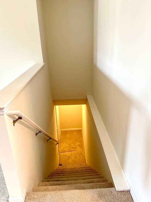 staircase featuring carpet flooring