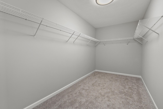 walk in closet with carpet