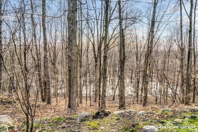 view of landscape featuring a forest view