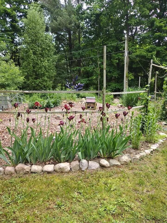 view of yard with a garden