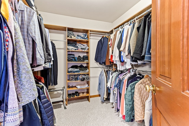 spacious closet featuring carpet