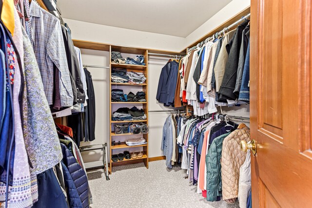 spacious closet featuring carpet
