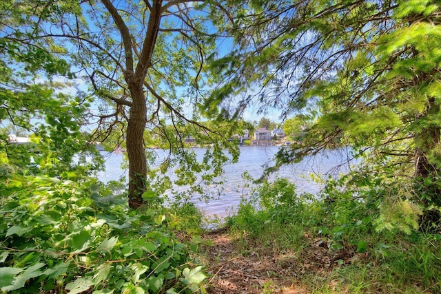 view of water feature