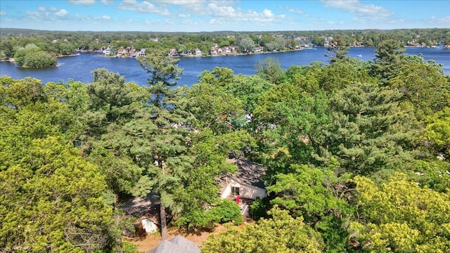 aerial view featuring a forest view and a water view