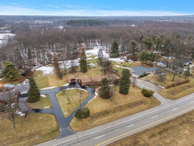 drone / aerial view with a view of trees