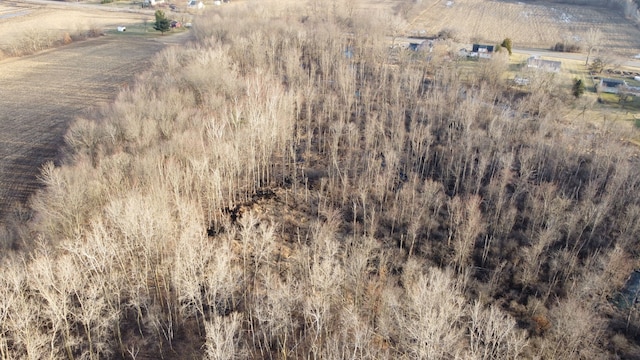 drone / aerial view with a rural view