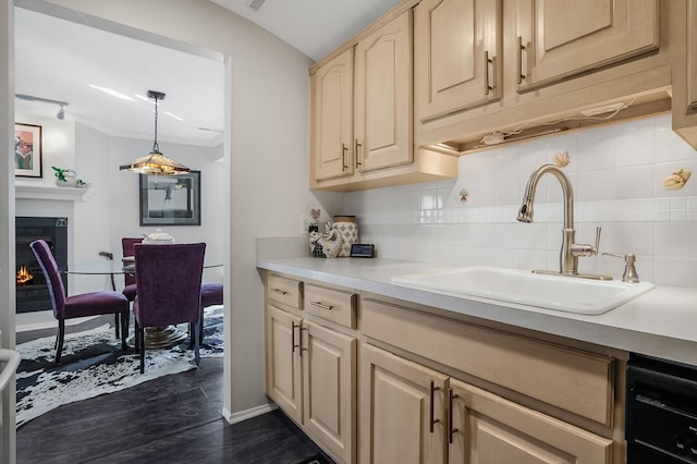 kitchen with a sink, dishwasher, dark wood-style flooring, and light countertops