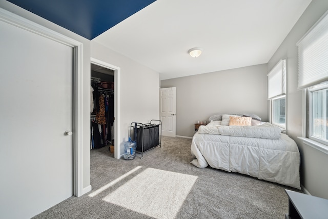 bedroom featuring a spacious closet, baseboards, a closet, and carpet floors