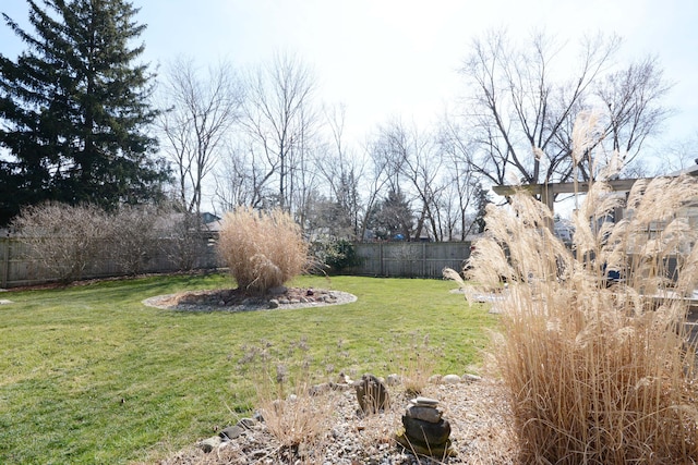 view of yard with a fenced backyard