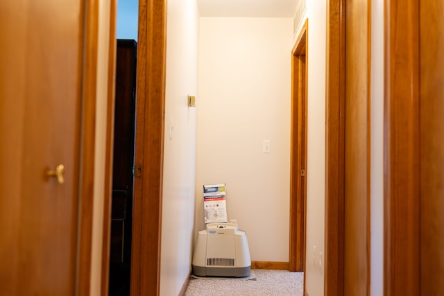 hallway with carpet flooring