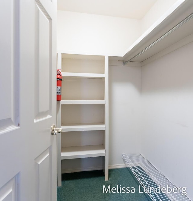 spacious closet with carpet